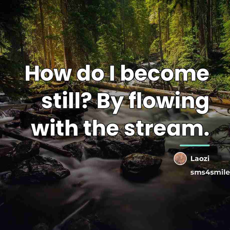“How do I become still? By flowing with the stream.…” quote by Laozi