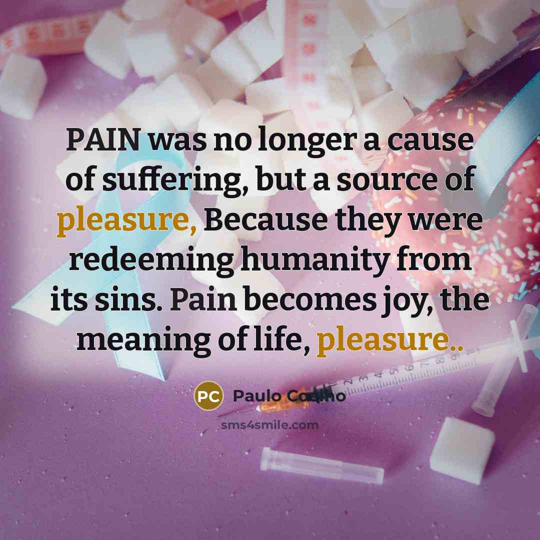 “PAIN was no longer a cause of suffering, but a…” quote by Paulo Coelho