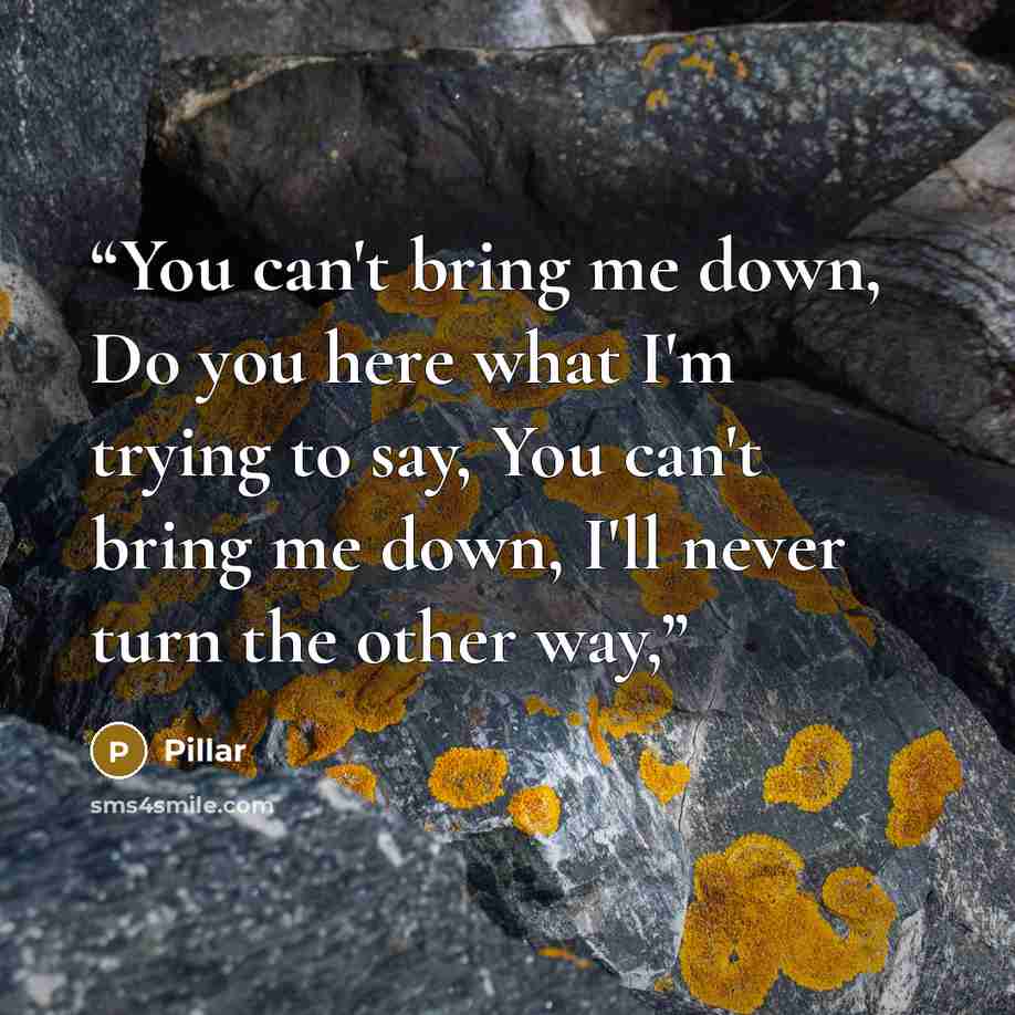 “You can't bring me down, Do you here what I'm trying to say, You can't bring me down, I'll never turn the other way,” quote by Pillar