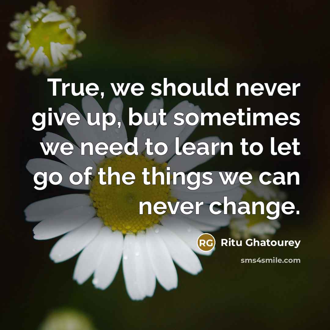 “True, we should never give up, but sometimes we need…” quote by Ritu Ghatourey