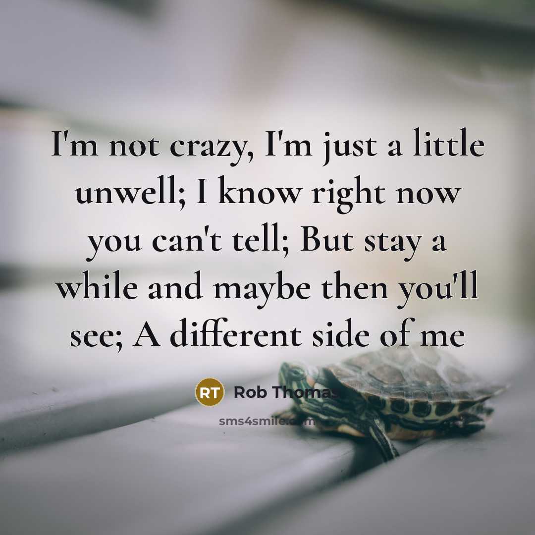 “I'm not crazy, I'm just a little unwell; I know…” quote by Rob Thomas