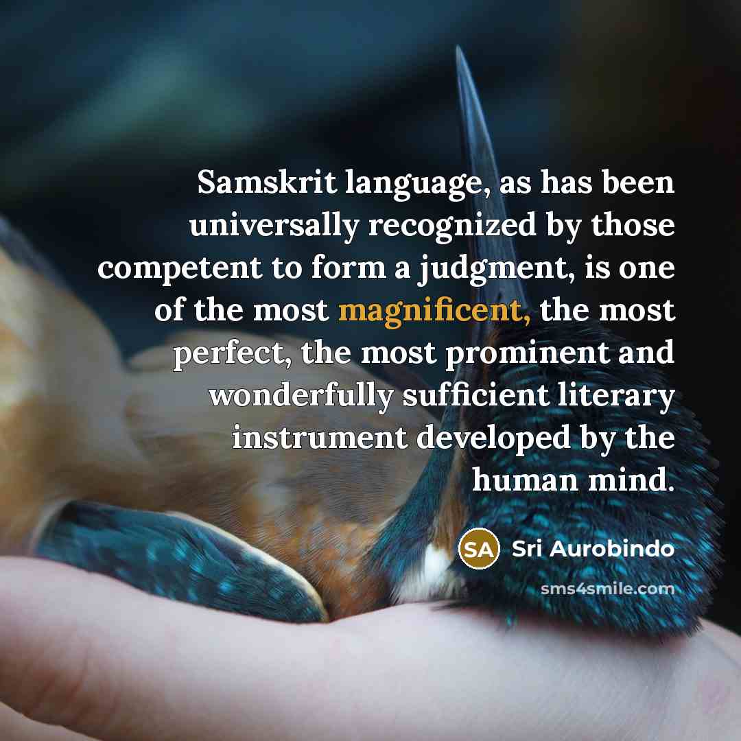 “Samskrit language, as has been universally recognized by those competent…” quote by Sri Aurobindo