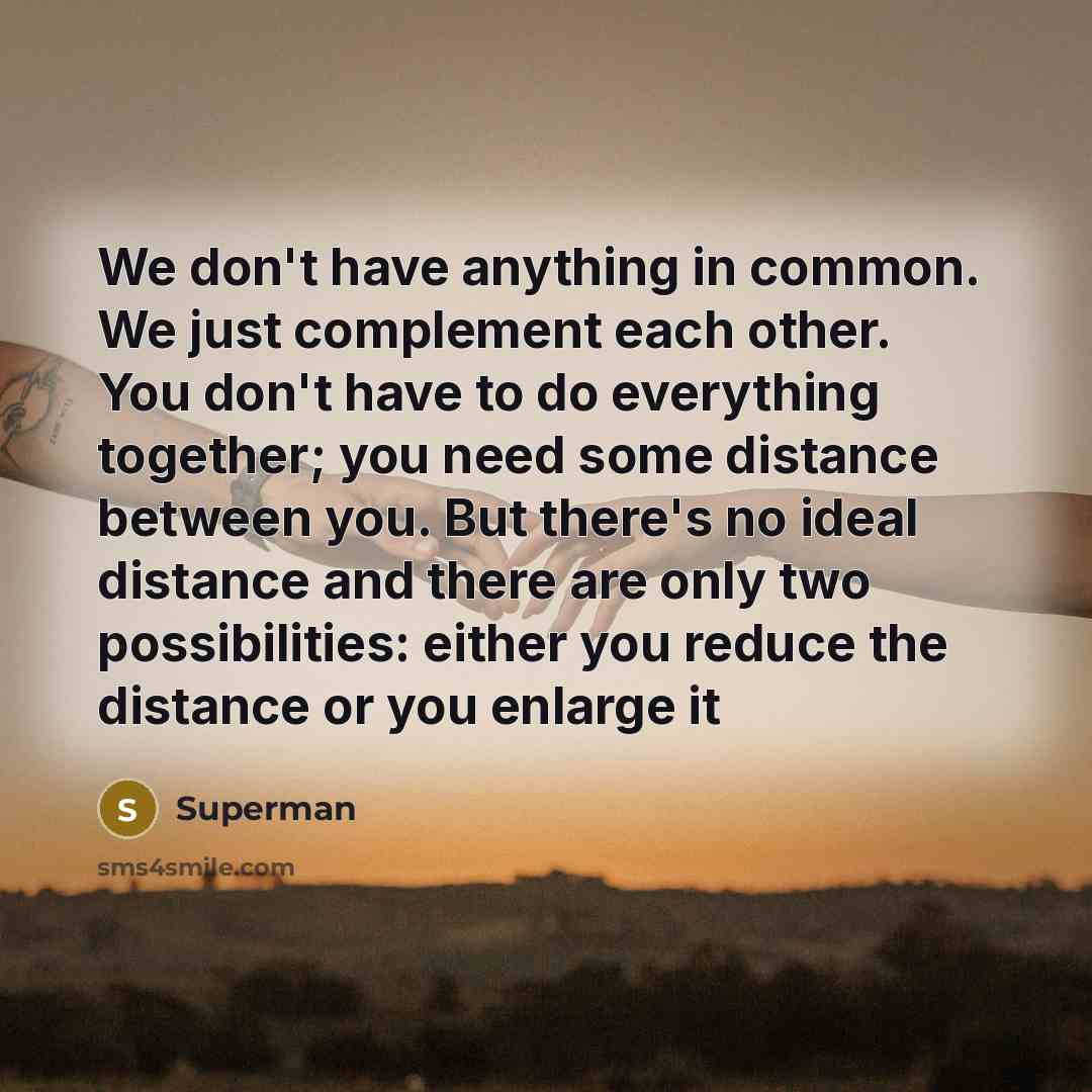 “We don't have anything in common. We just complement each…” quote by Superman