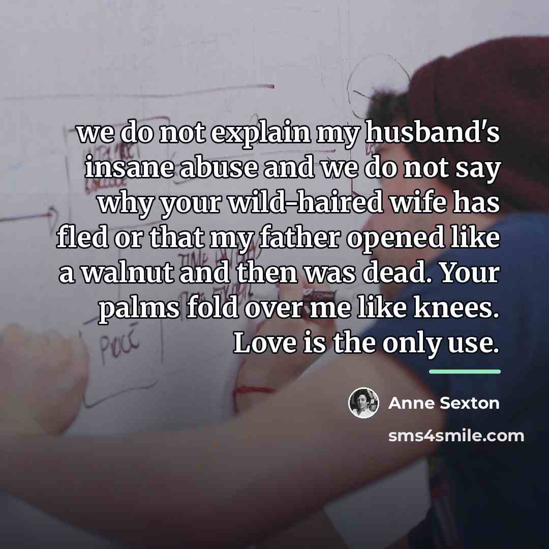 “we do not explain my husband's insane abuse and we…” quote by Anne Sexton