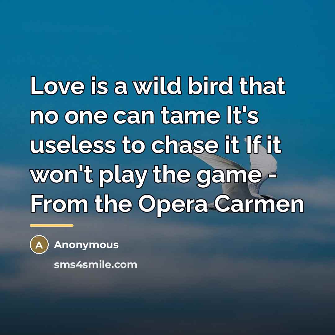 “Love is a wild bird that no one can tame…” quote by Anonymous