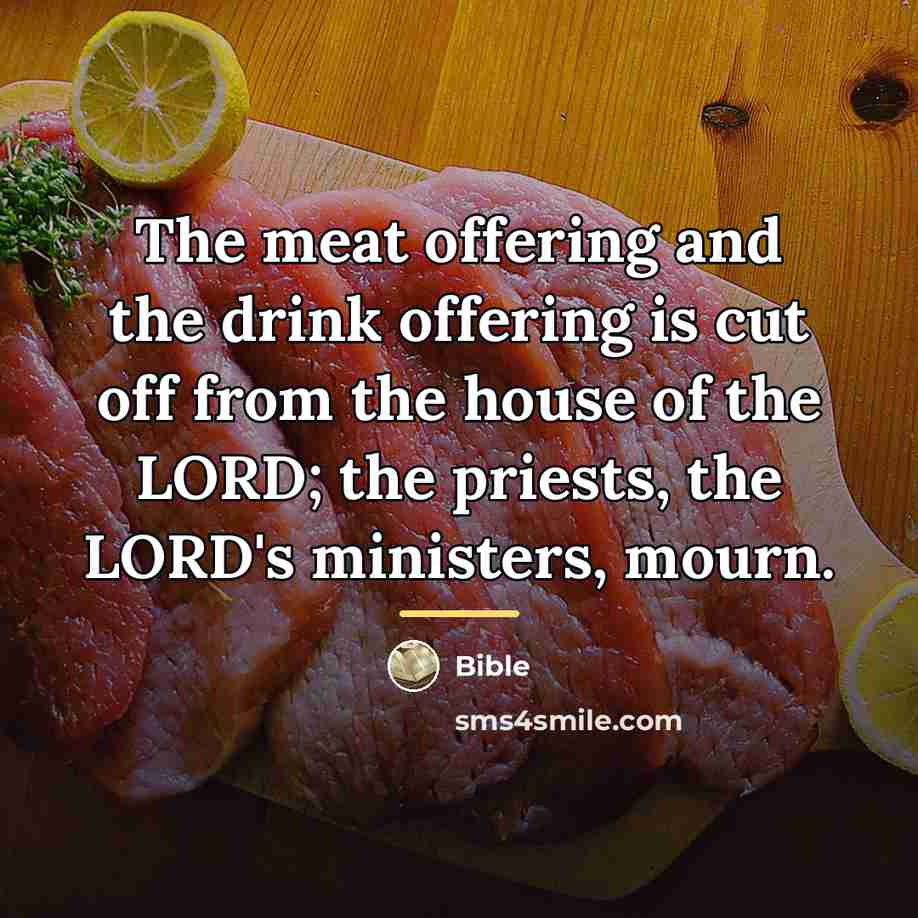 “The meat offering and the drink offering is cut off…” quote by Bible