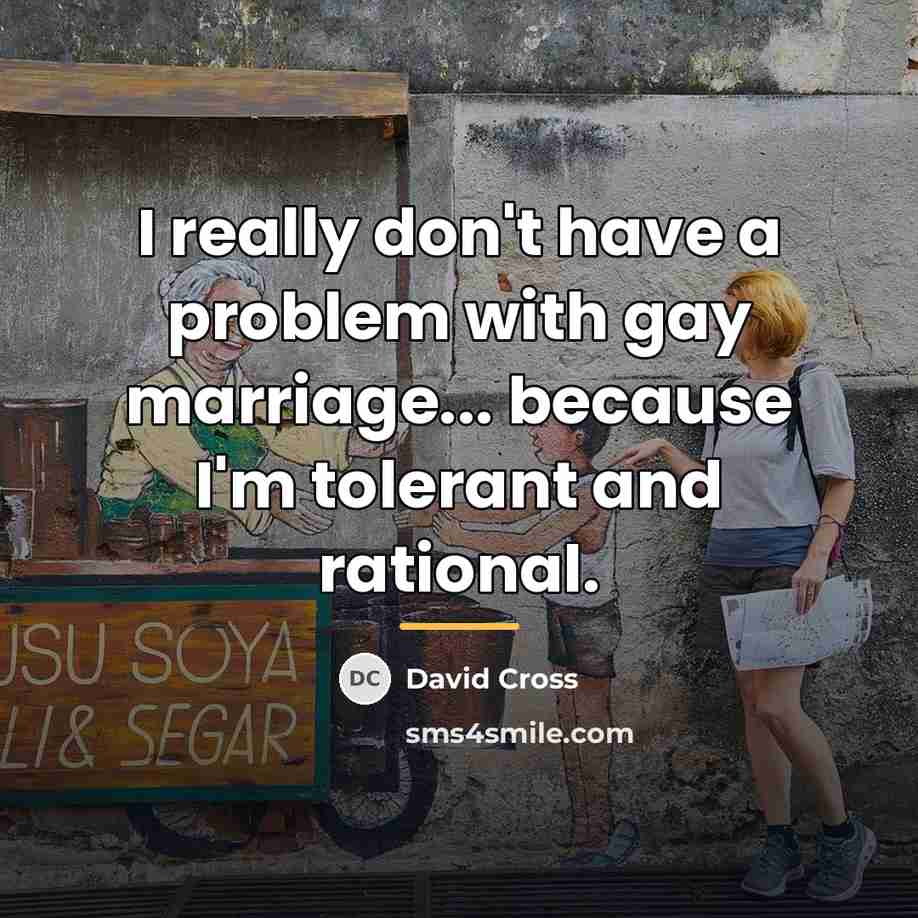 “I really don't have a problem with gay marriage... because…” quote by David Cross