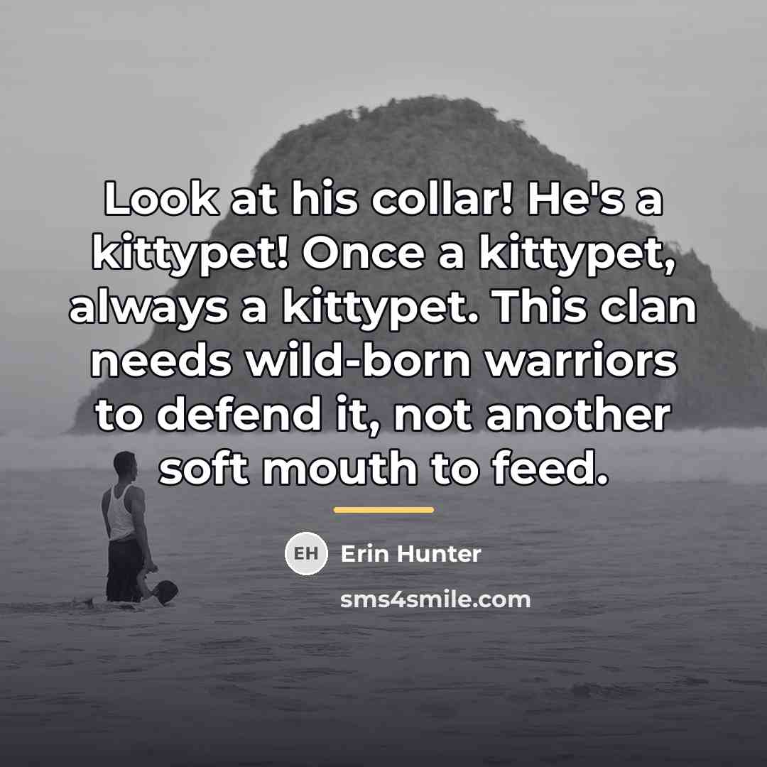 “Look at his collar! He's a kittypet! Once a kittypet,…” quote by Erin Hunter