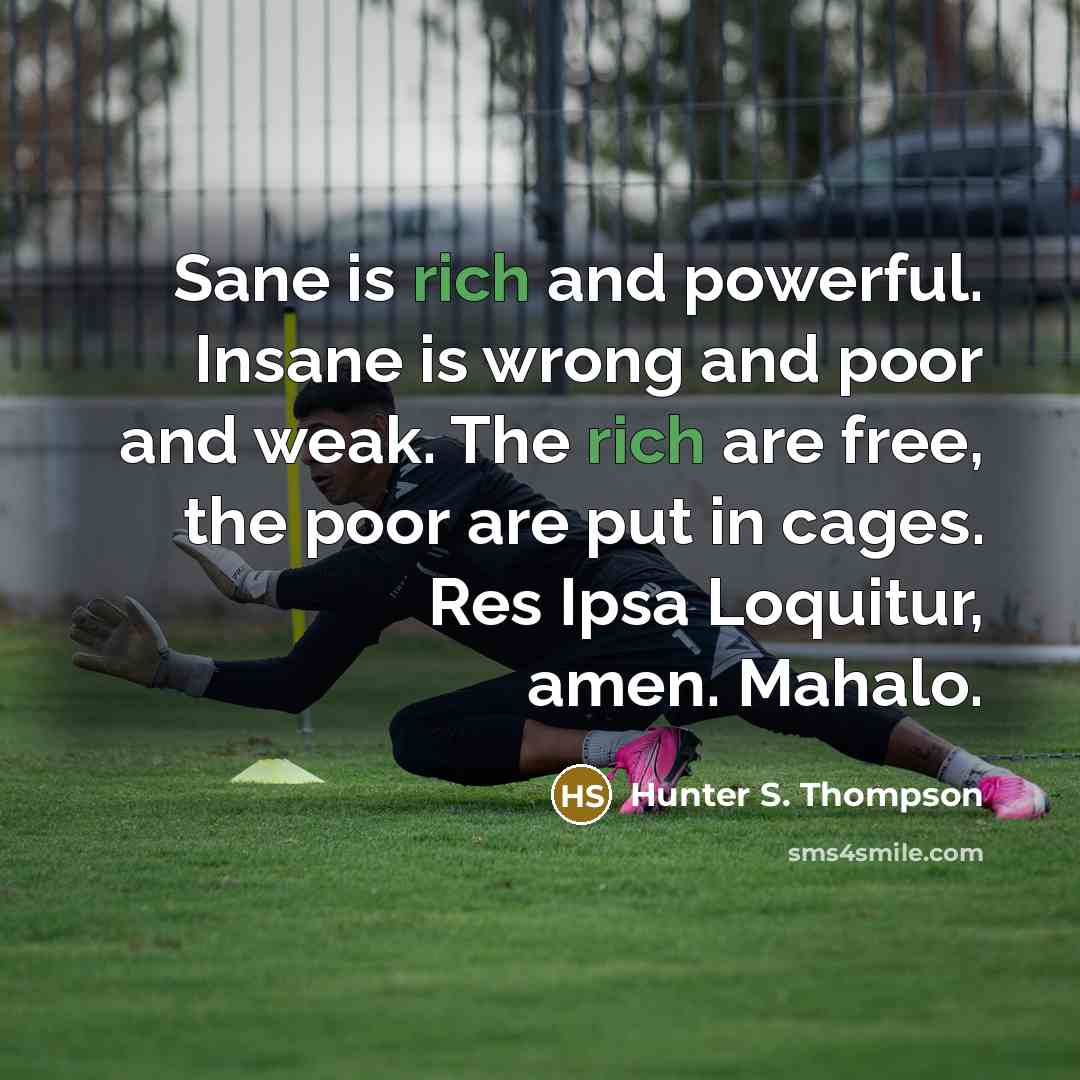 “Sane is rich and powerful. Insane is wrong and poor…” quote by Hunter S. Thompson