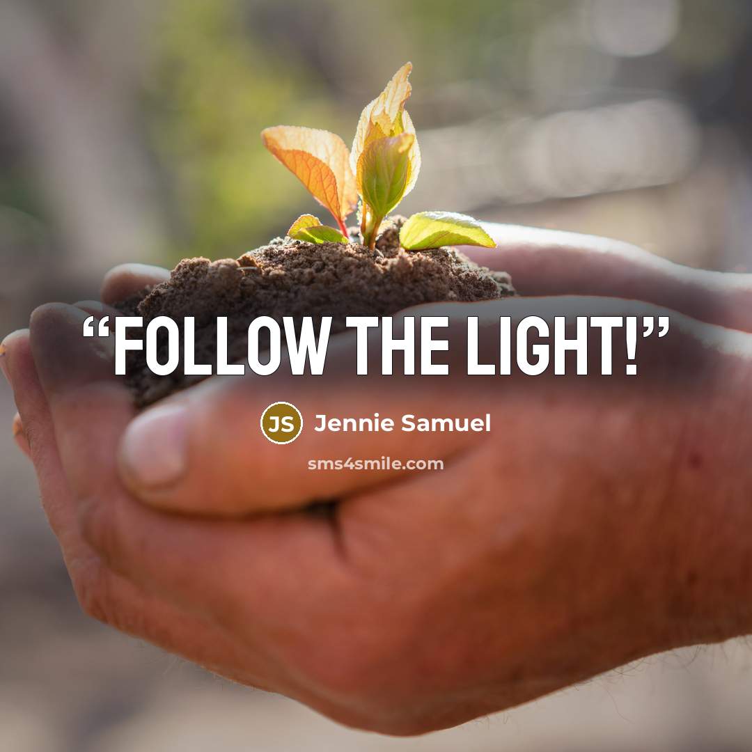 “Follow the Light!” quote by Jennie Samuel