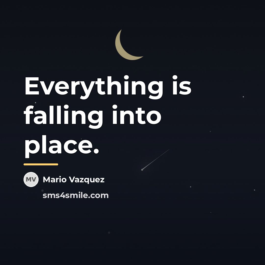 “Everything is falling into place.…” quote by Mario Vazquez