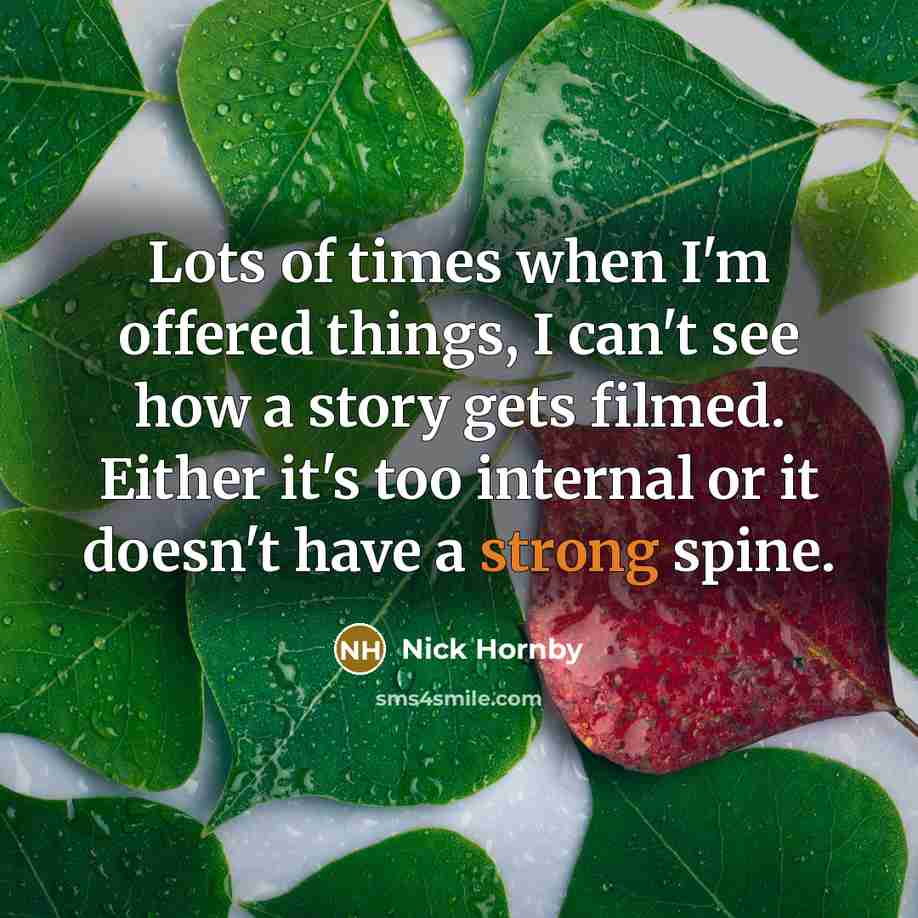 “Lots of times when I'm offered things, I can't see…” quote by Nick Hornby
