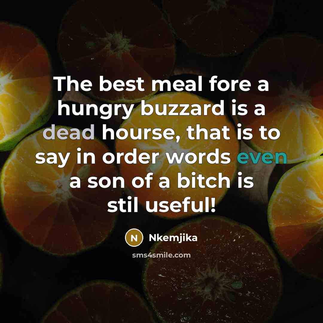 “The best meal fore a hungry buzzard is a dead…” quote by Nkemjika