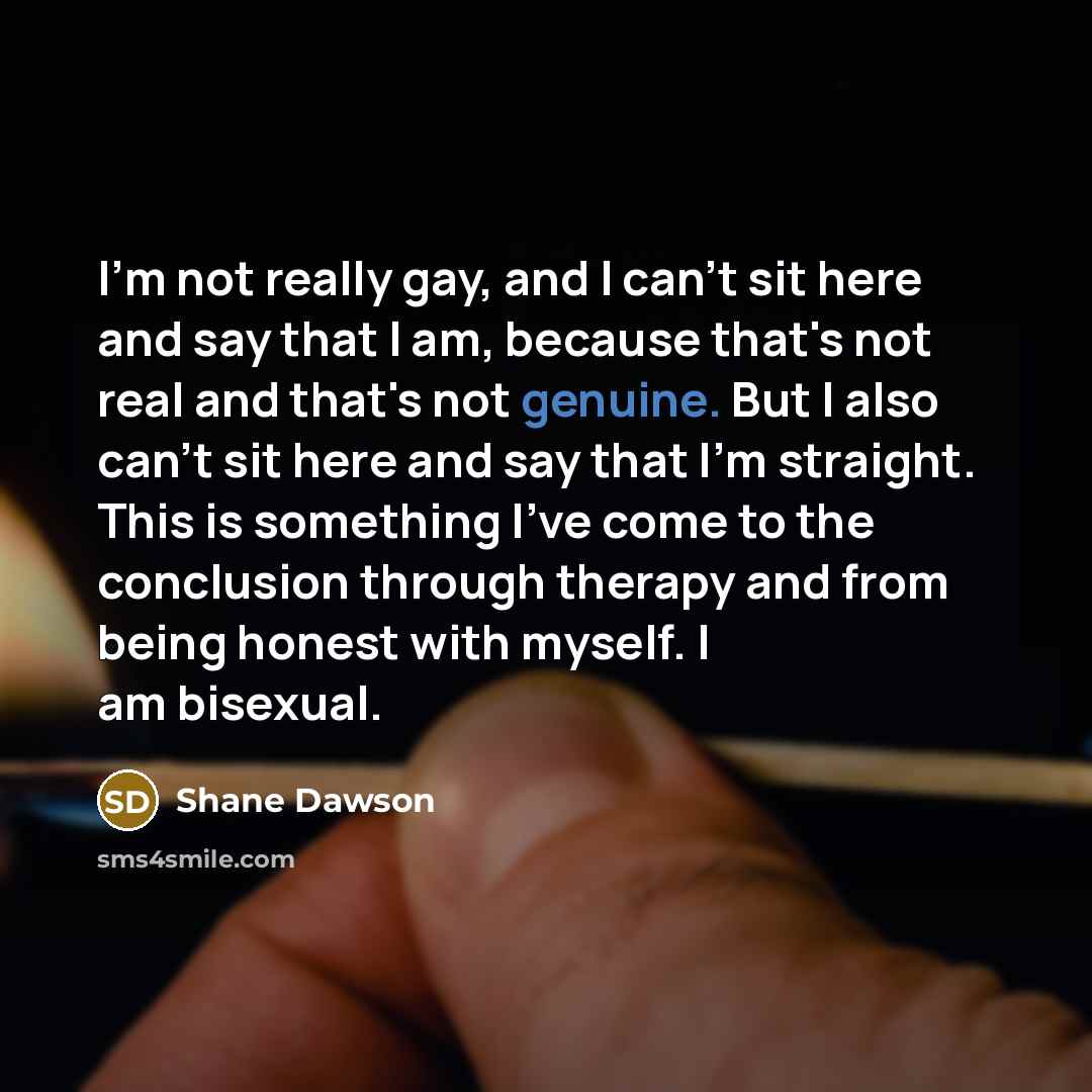 “I'm not really gay, and I can't sit here and…” quote by Shane Dawson