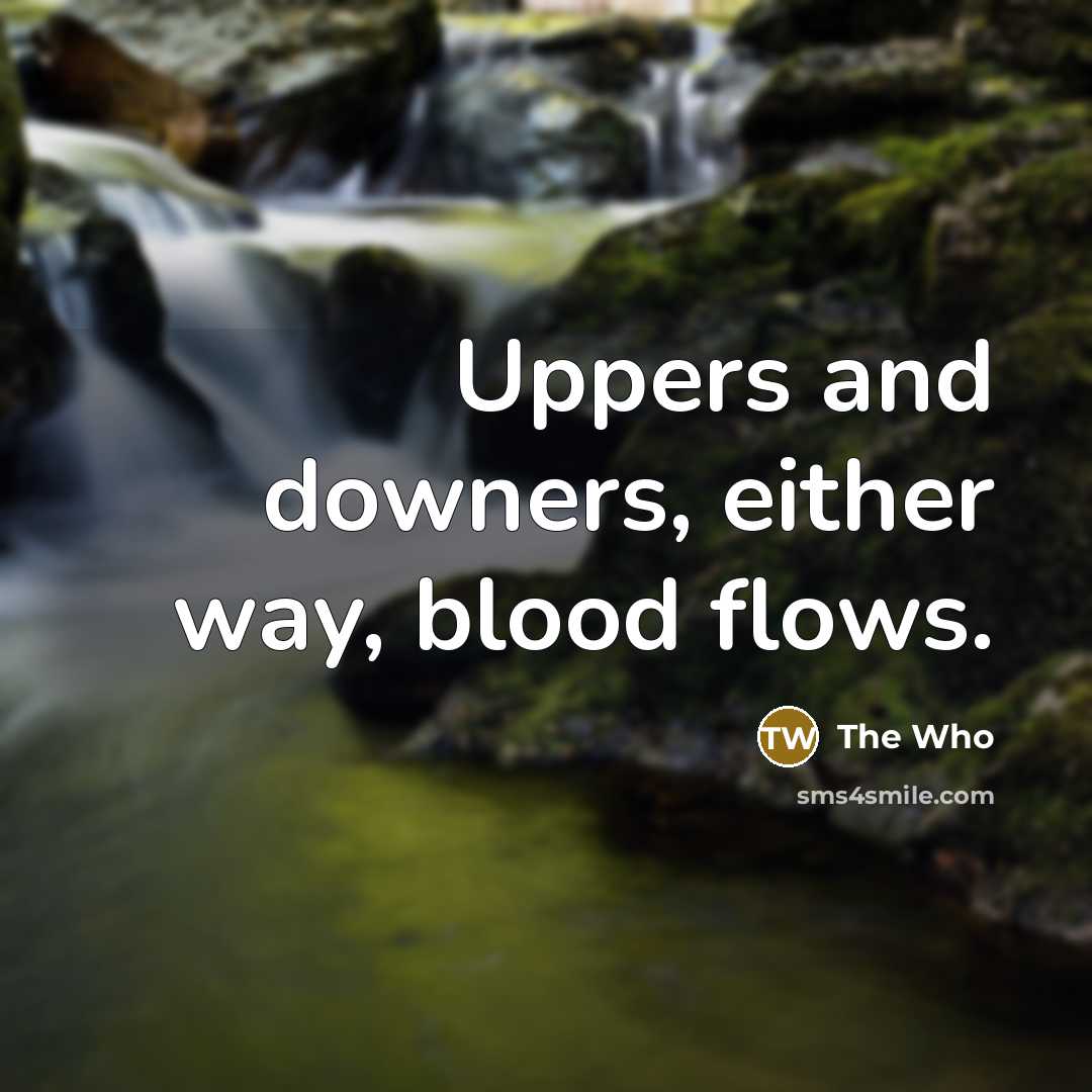 “Uppers and downers, either way, blood flows.” quote by The Who