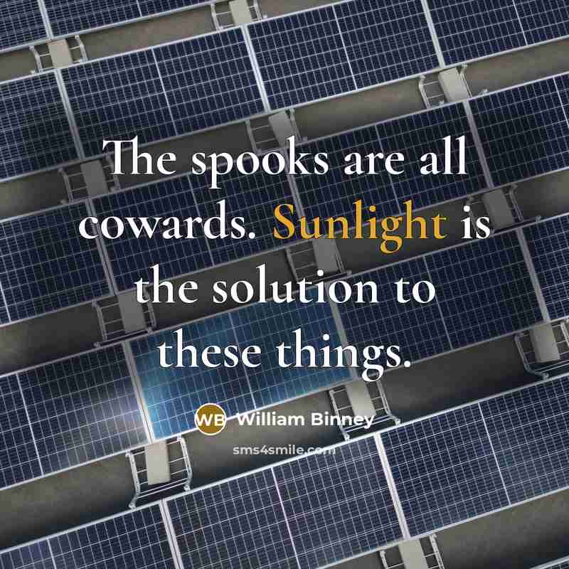 “The spooks are all cowards. Sunlight is the solution to…” quote by William Binney
