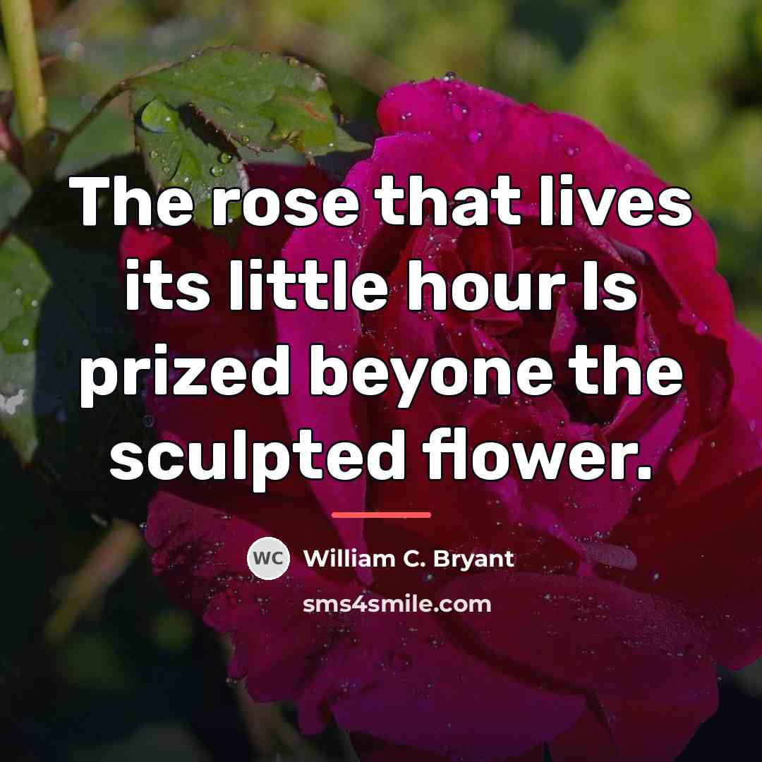 “The rose that lives its little hour Is prized beyone…” quote by William C. Bryant
