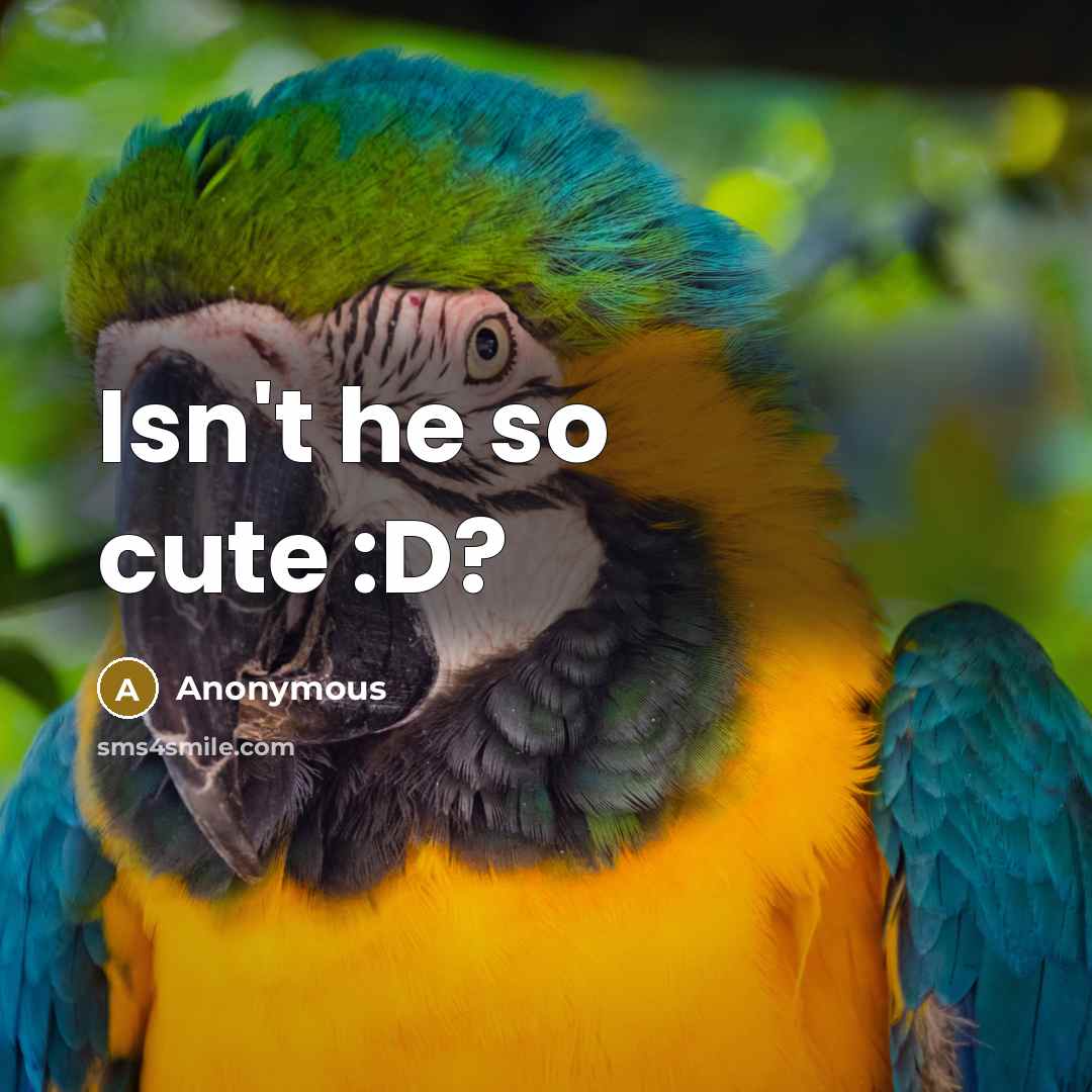 “Isn't he so cute :D?” quote by Anonymous