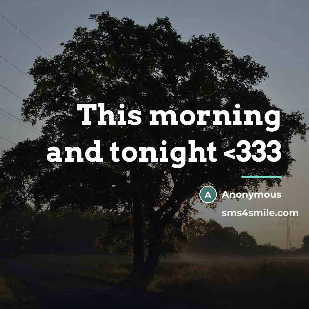 “This morning and tonight…” quote by Anonymous