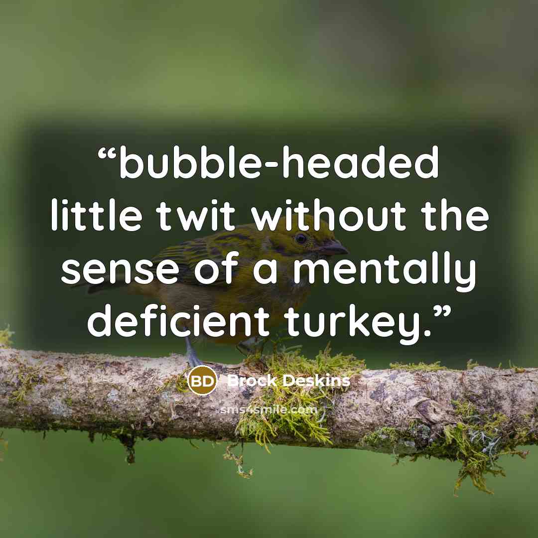 “bubble-headed little twit without the sense of a mentally deficient turkey.” quote by Brock Deskins