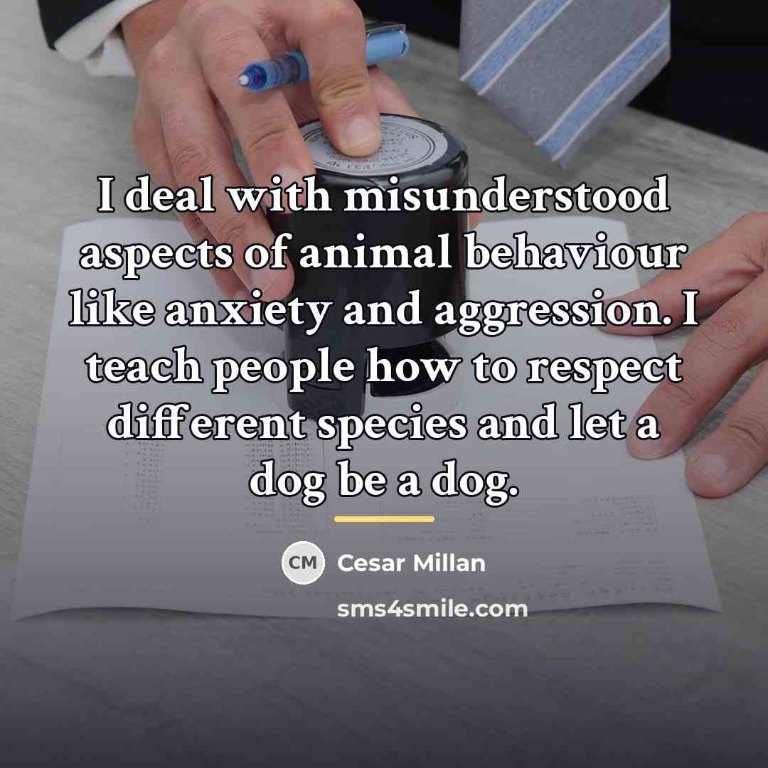 “I deal with misunderstood aspects of animal behaviour like anxiety…” quote by Cesar Millan