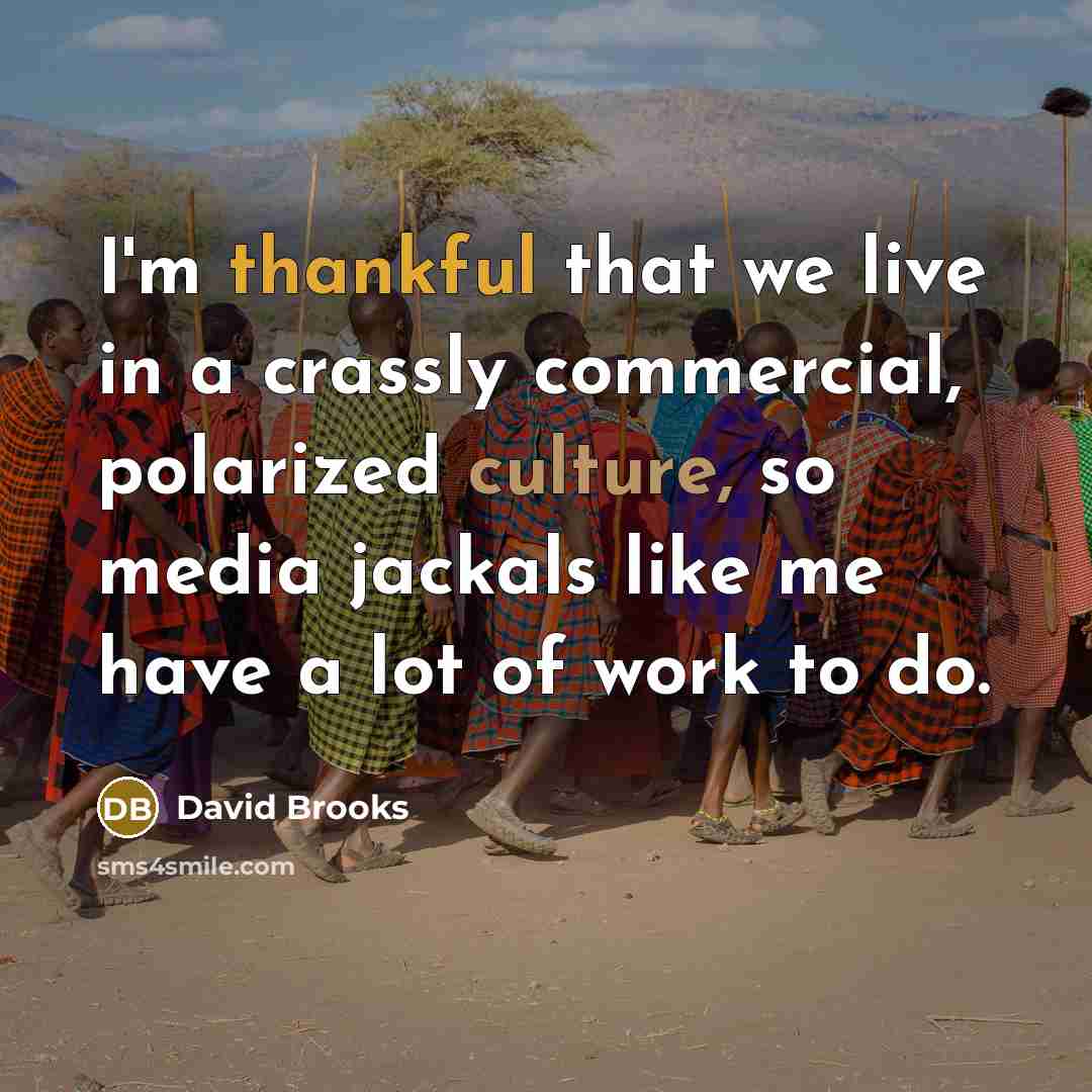 “I'm thankful that we live in a crassly commercial, polarized…” quote by David Brooks
