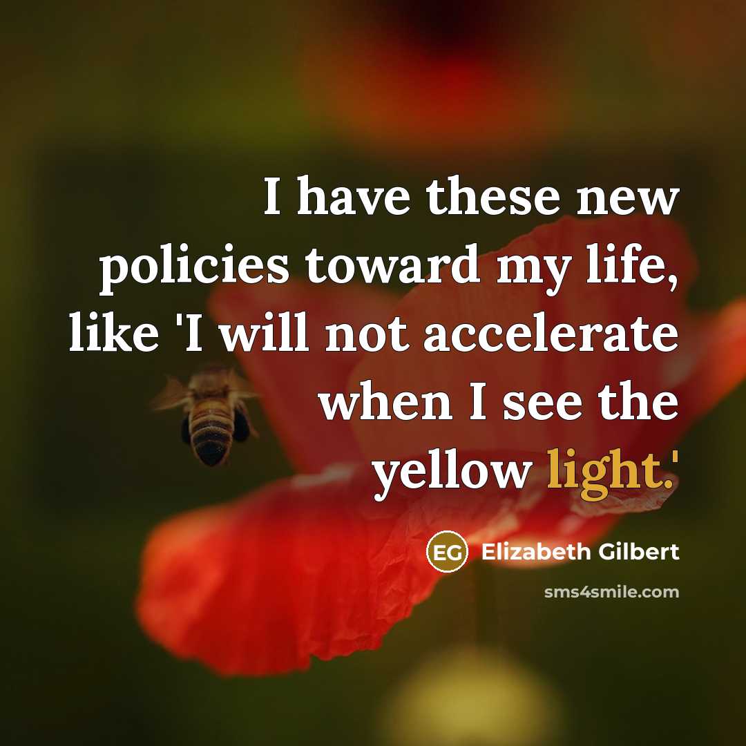 “I have these new policies toward my life, like 'I…” quote by Elizabeth Gilbert