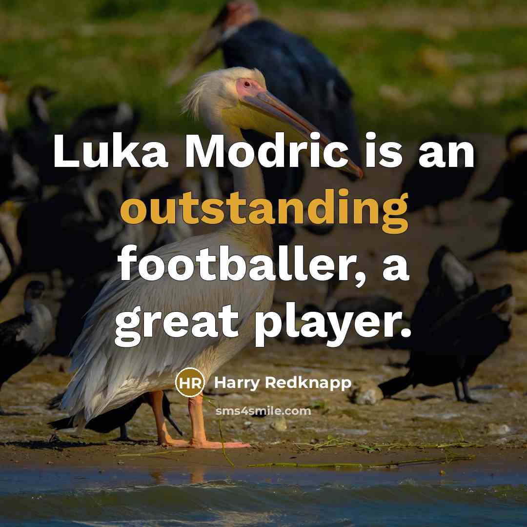 “Luka Modric is an outstanding footballer, a great player.…” quote by Harry Redknapp