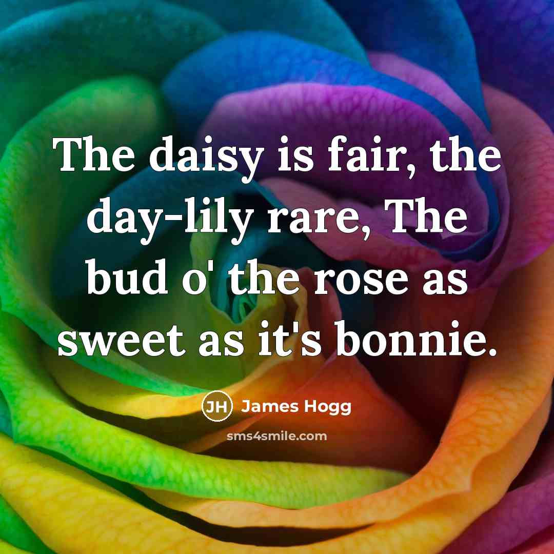 “The daisy is fair, the day-lily rare, The bud o'…” quote by James Hogg