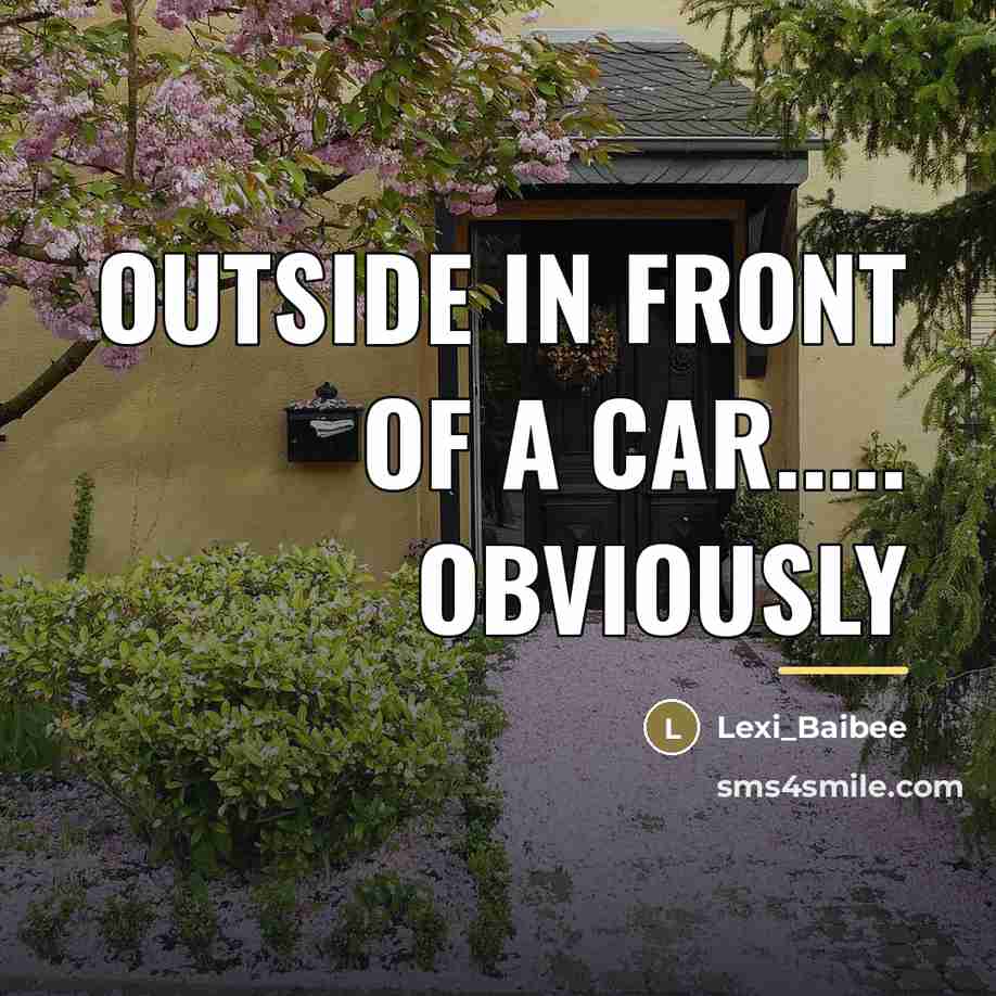 “Outside in front of a car..... obviously…” quote by Lexi_Baibee