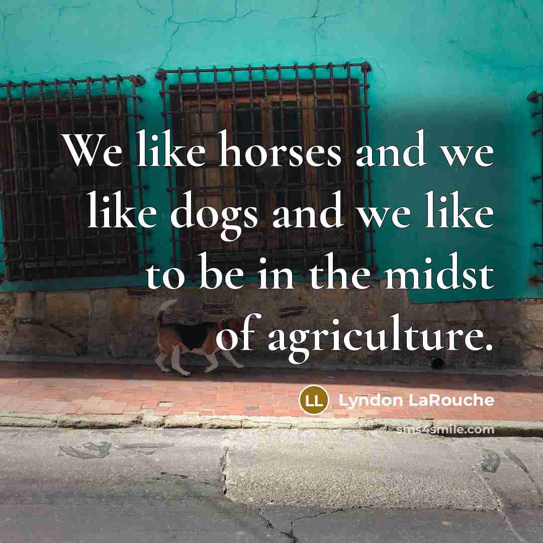“We like horses and we like dogs and we like…” quote by Lyndon LaRouche