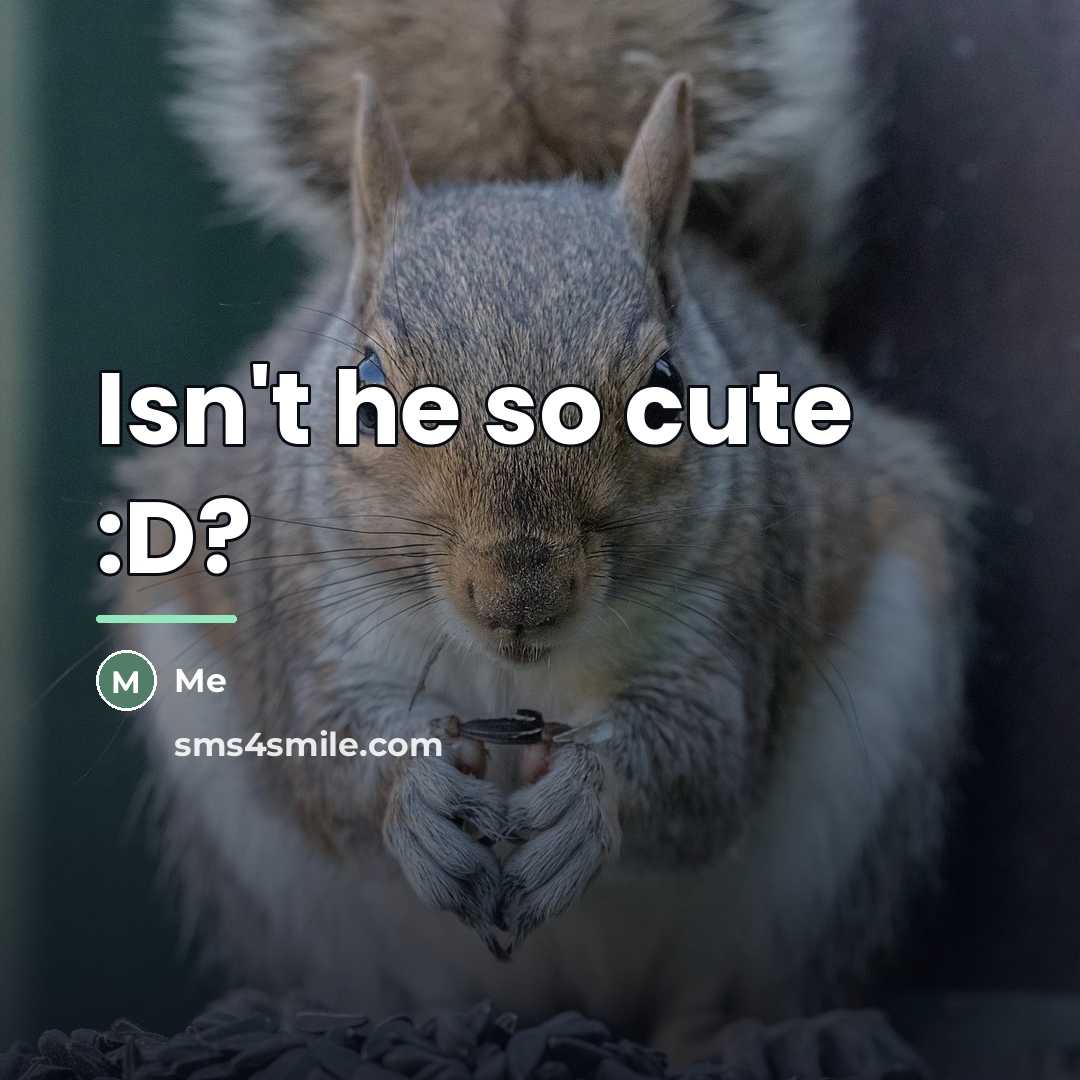 “Isn't he so cute :D?…” quote by Me