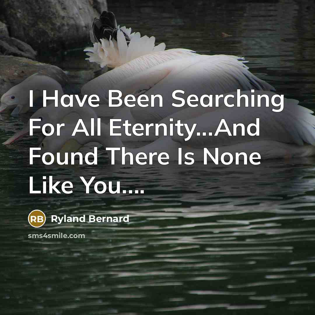 “I Have Been Searching For All Eternity...And Found There Is…” quote by Ryland Bernard