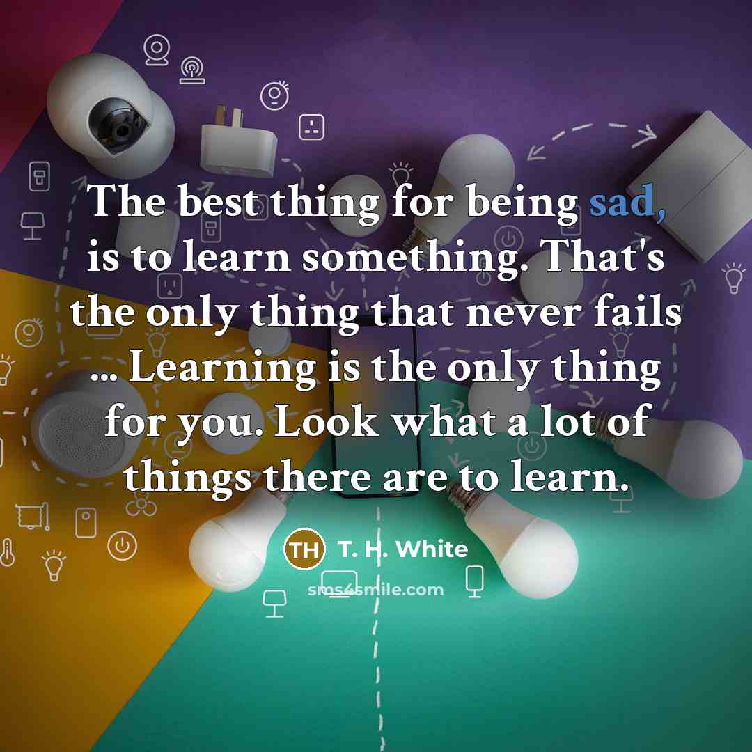 “The best thing for being sad, is to learn something.…” quote by T. H. White