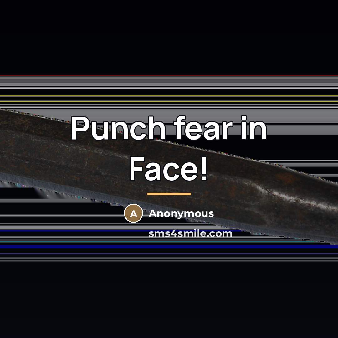 “Punch fear in Face!…” quote by Anonymous