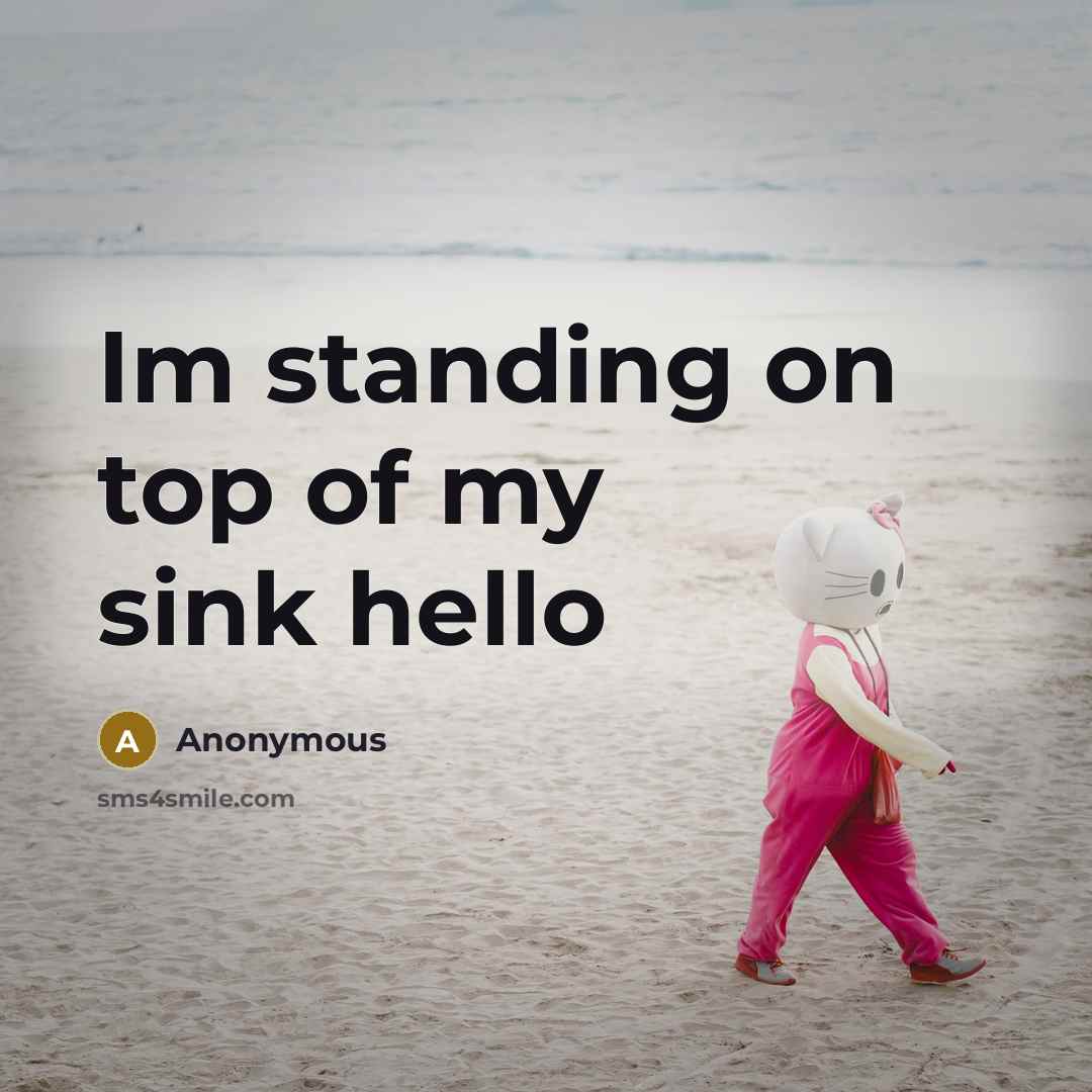 “Im standing on top of my sink hello…” quote by Anonymous