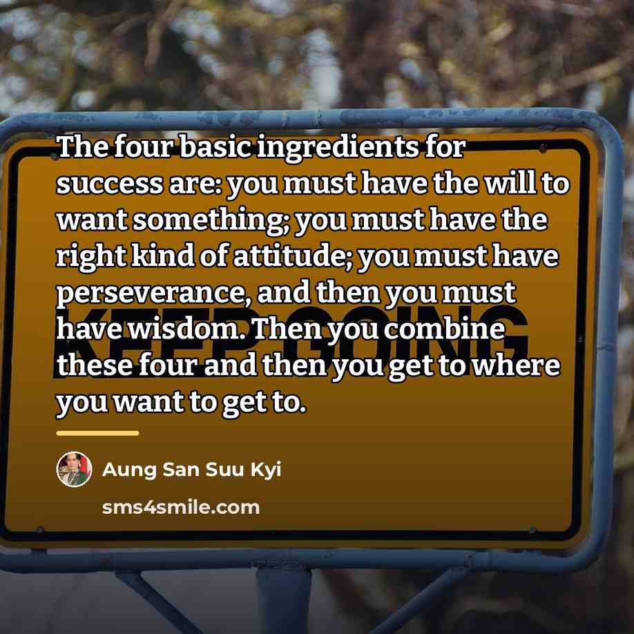 “The four basic ingredients for success are: you must have…” quote by Aung San Suu Kyi