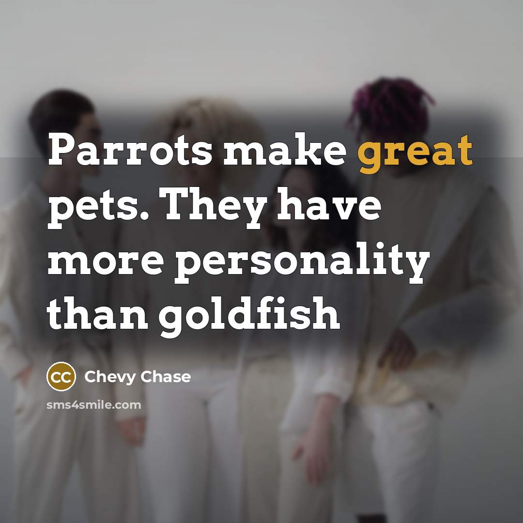 “Parrots make great pets. They have more personality than goldfish…” quote by Chevy Chase