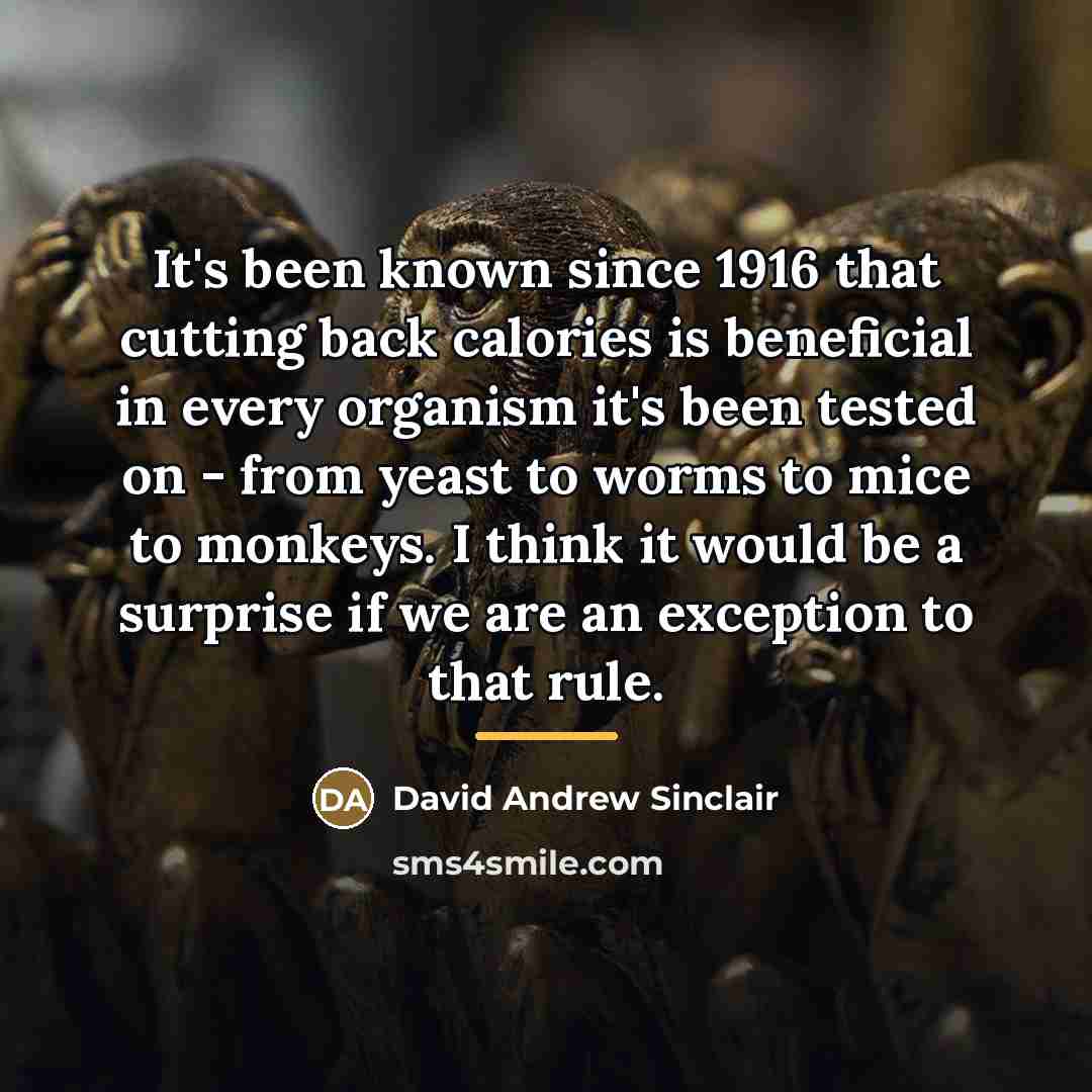 “It's been known since 1916 that cutting back calories is…” quote by David Andrew Sinclair