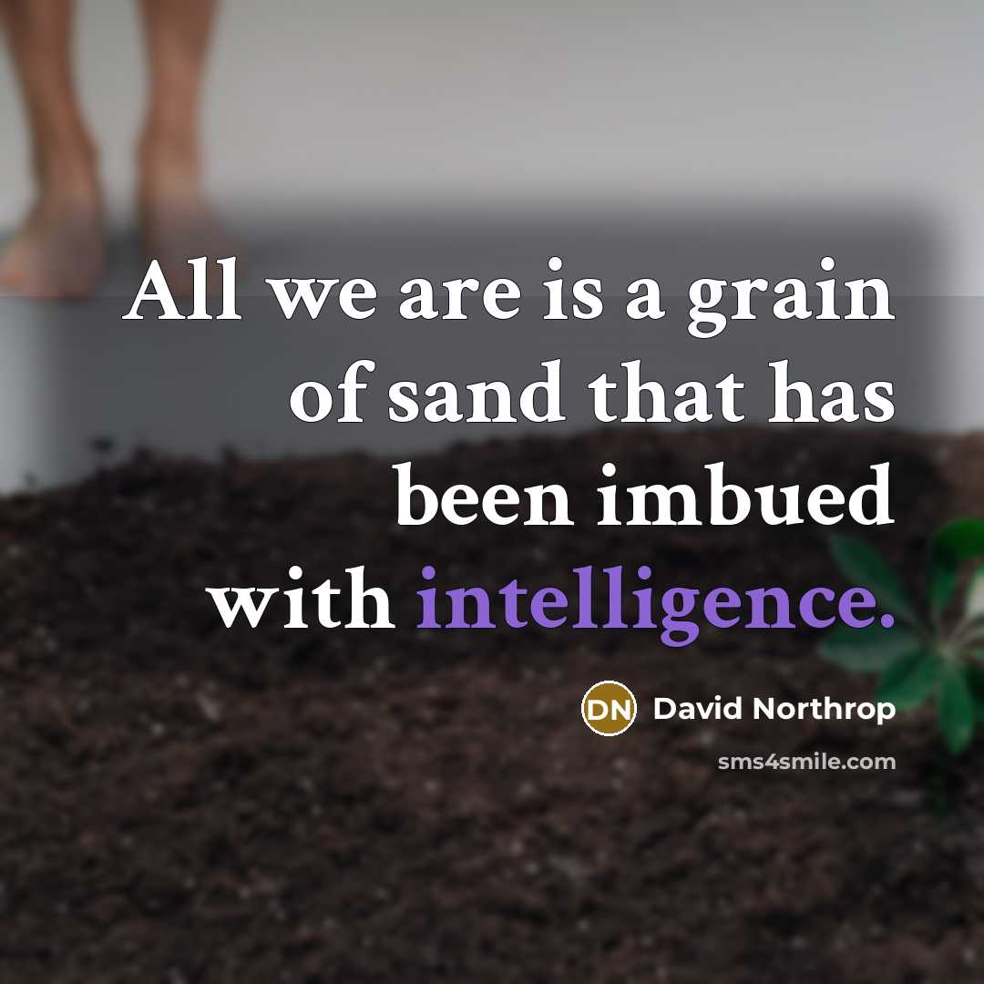“All we are is a grain of sand that has…” quote by David Northrop