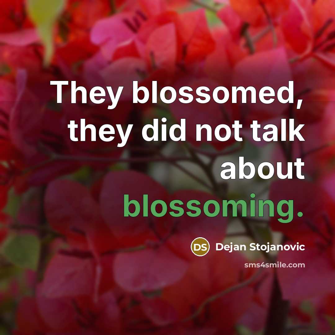 “They blossomed, they did not talk about blossoming.…” quote by Dejan Stojanovic
