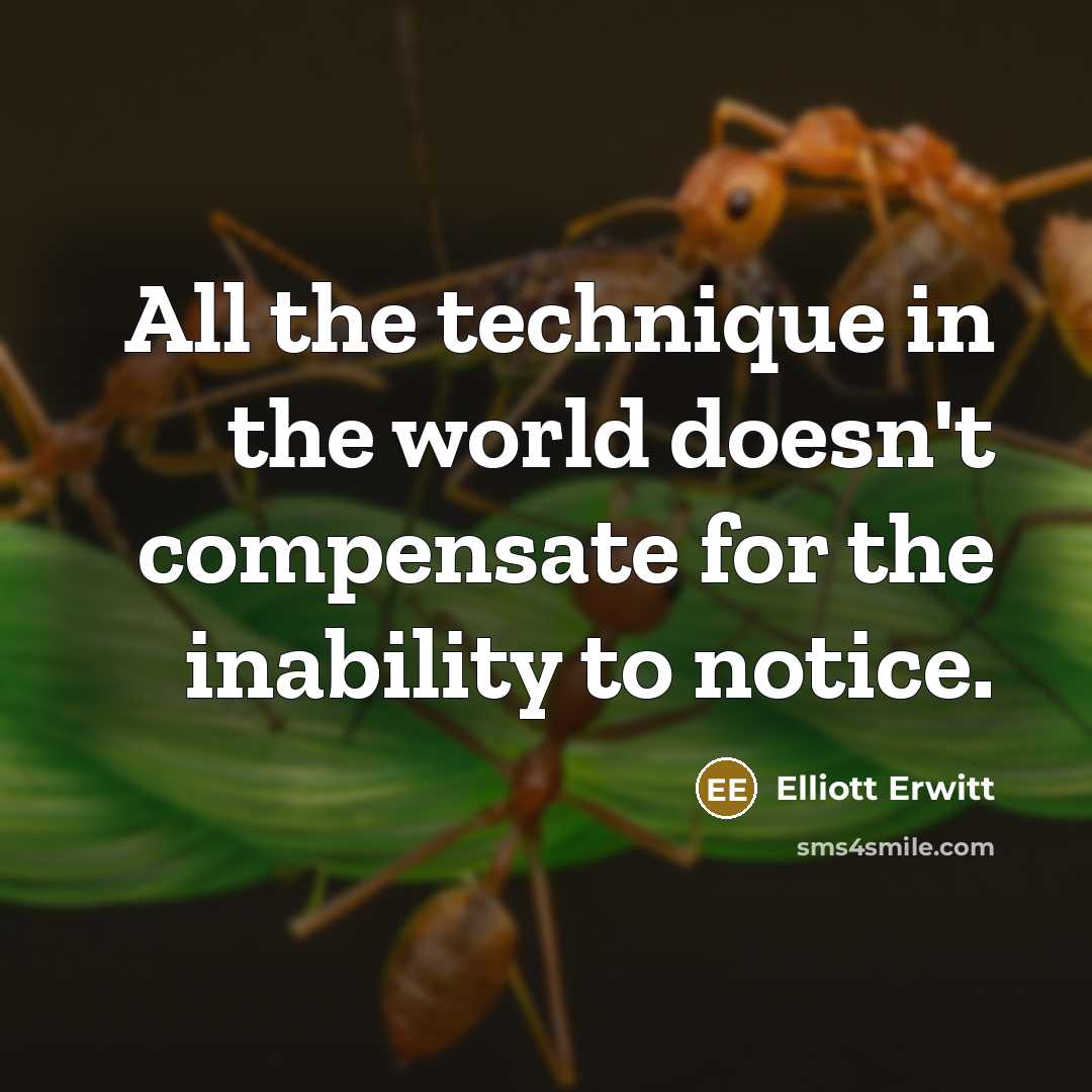 “All the technique in the world doesn't compensate for the…” quote by Elliott Erwitt