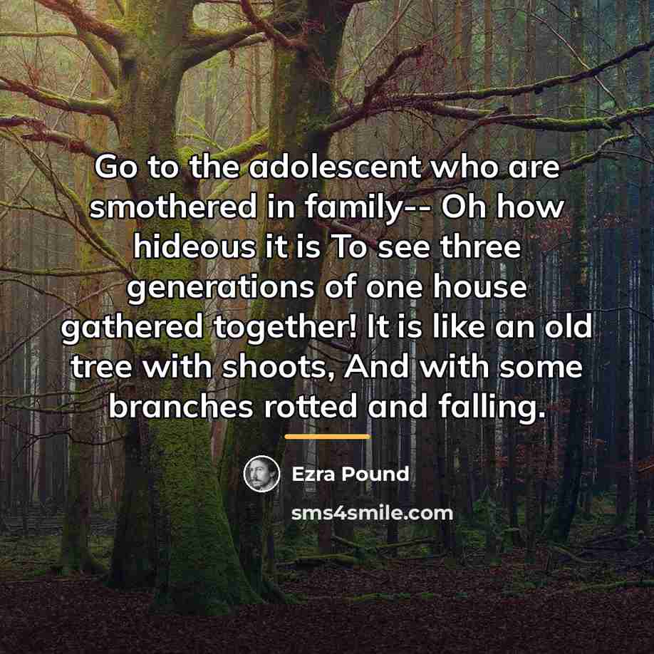 “Go to the adolescent who are smothered in family-- Oh…” quote by Ezra Pound
