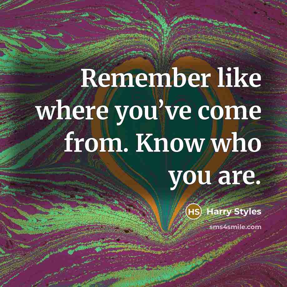 “Remember like where you’ve come from. Know who you are.…” quote by Harry Styles