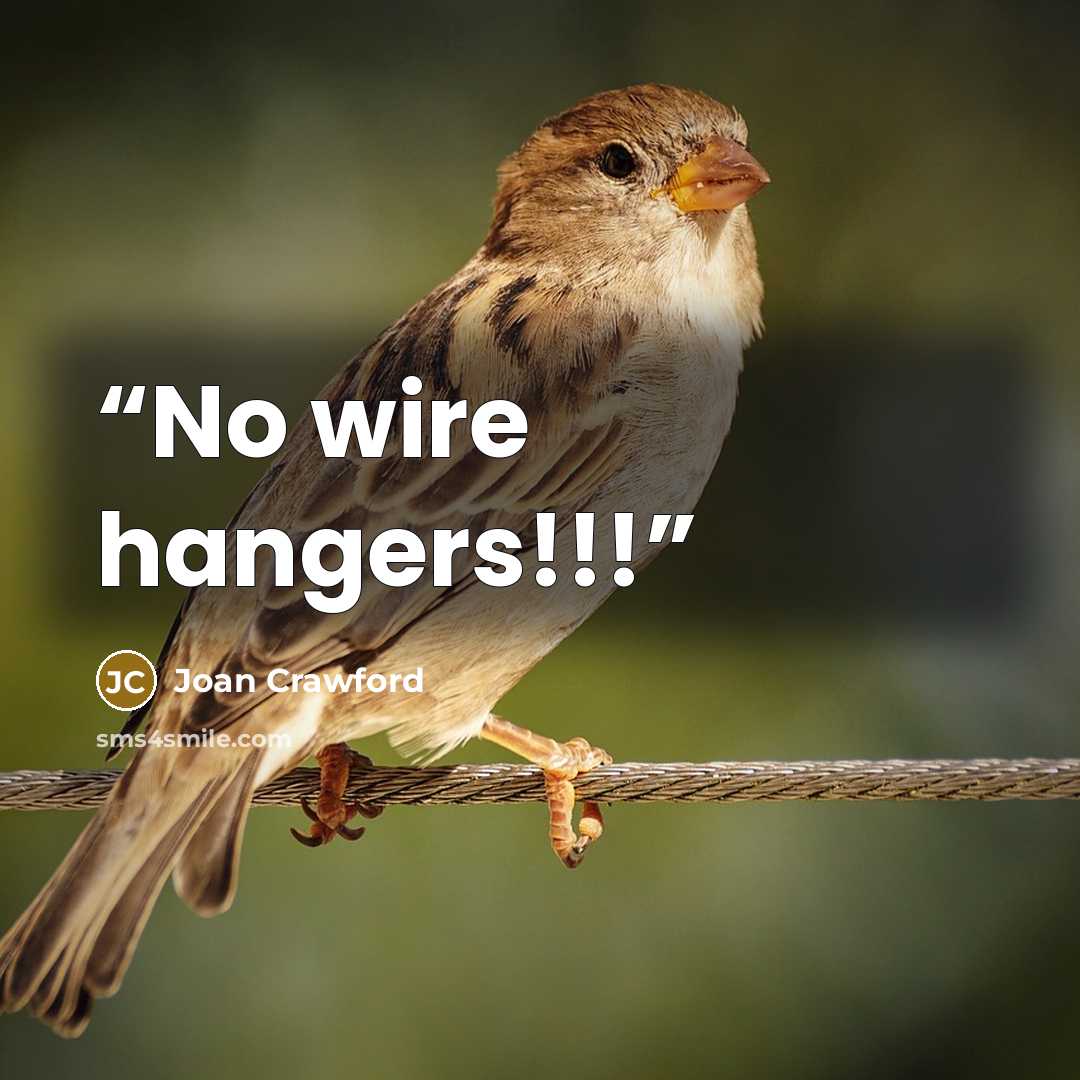 “No wire hangers!!!” quote by Joan Crawford
