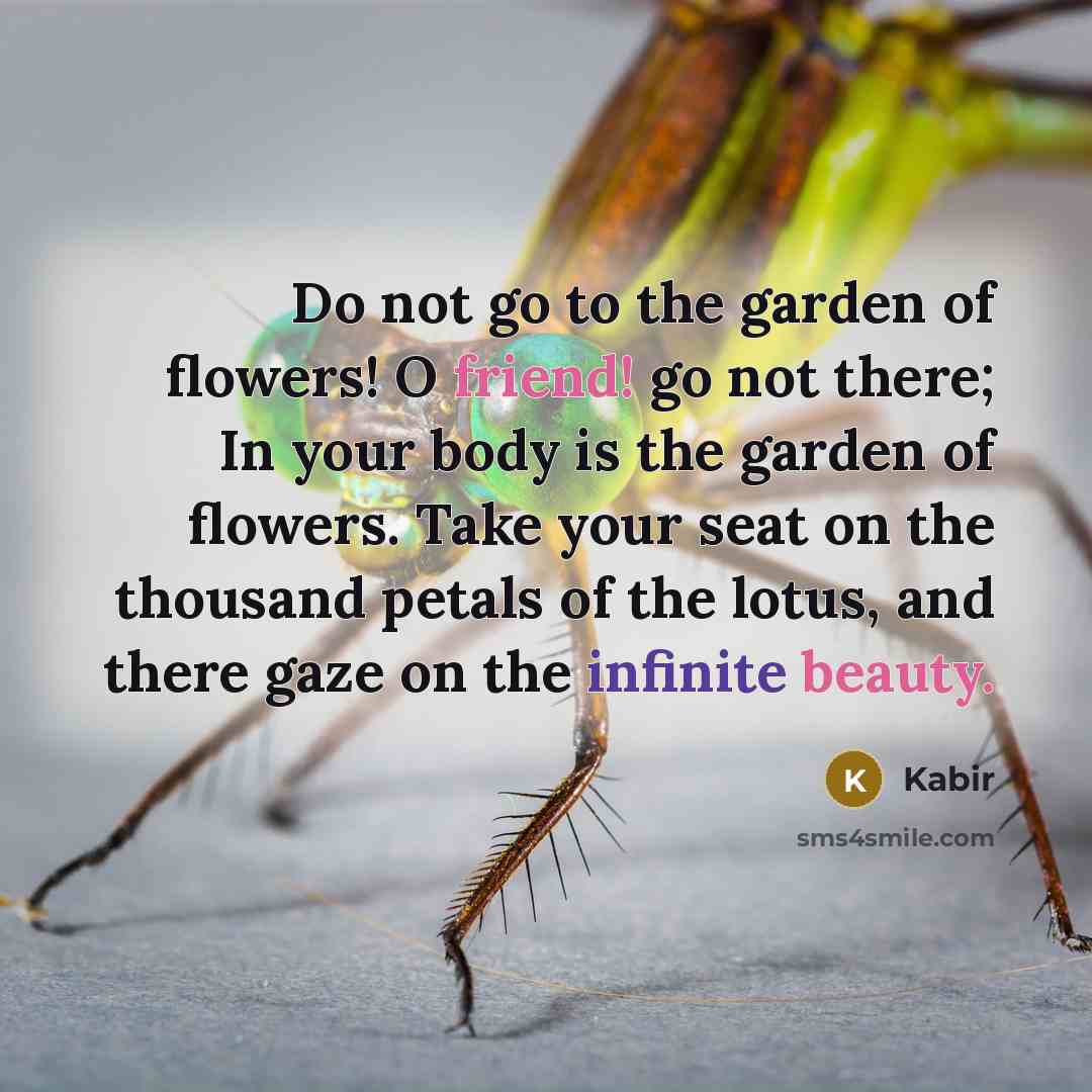 “Do not go to the garden of flowers! O friend!…” quote by Kabir