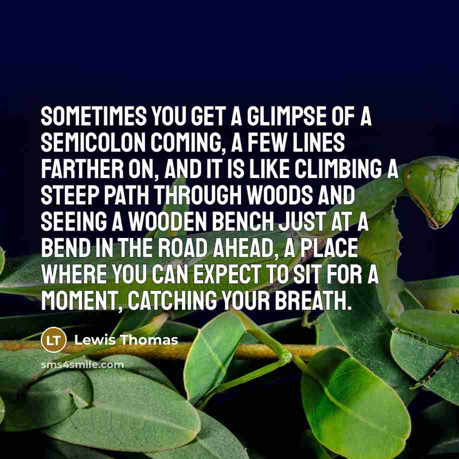 “Sometimes you get a glimpse of a semicolon coming, a…” quote by Lewis Thomas