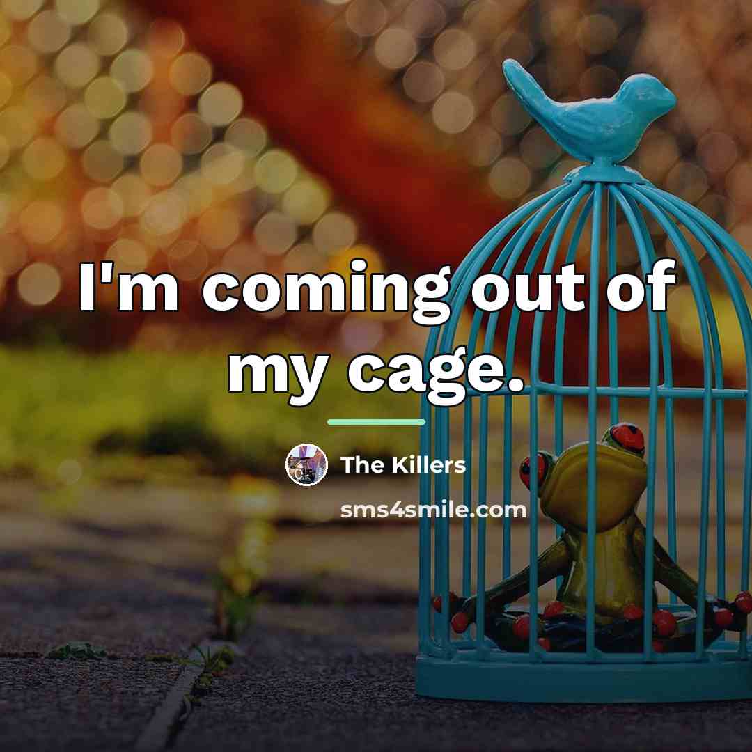 “I'm coming out of my cage.…” quote by The Killers