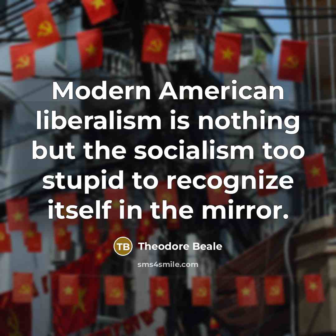 “Modern American liberalism is nothing but the socialism too stupid…” quote by Theodore Beale