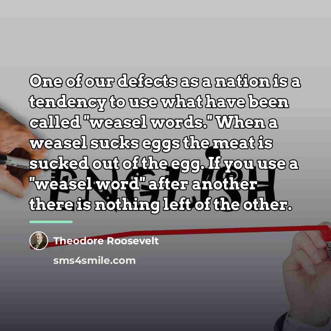 “One of our defects as a nation is a tendency…” quote by Theodore Roosevelt